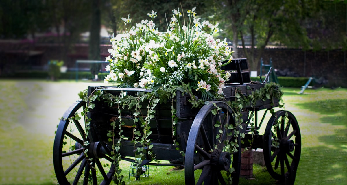 Portafolio de Fotografía de Bodas - Tu Boda en Corto - Dave Corona - VisualMedia